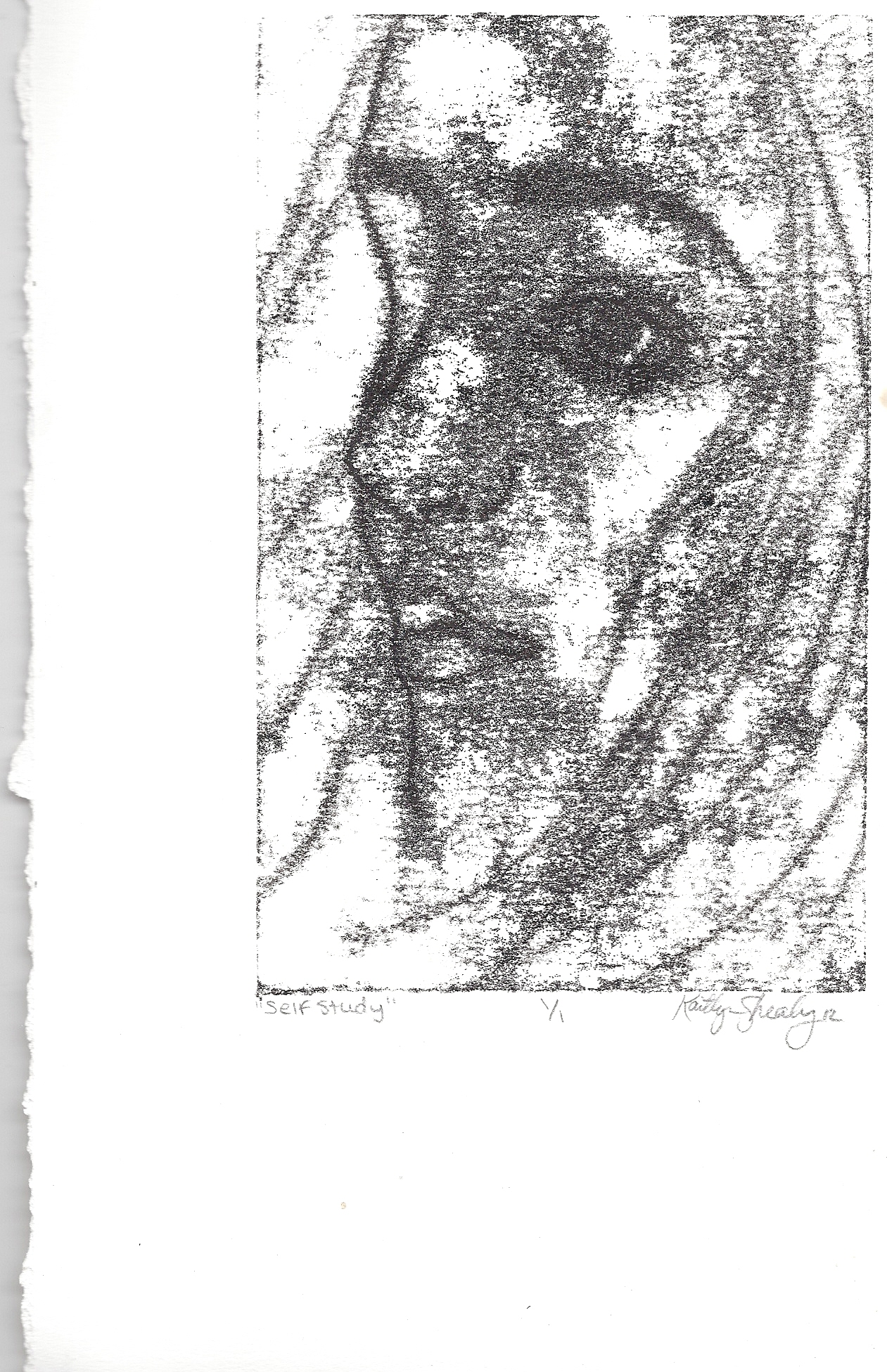 Kaitlyn Shealy/ Self Study